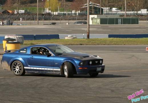 IMG 4882