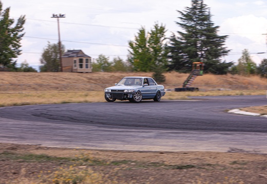 IMG 7528