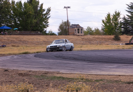 IMG 7529