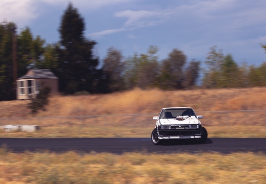 IMG 7367