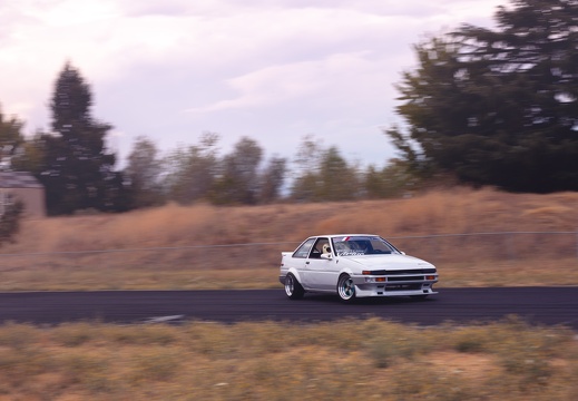 IMG 7386